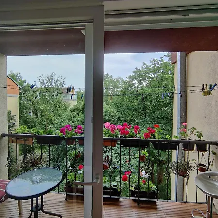 Petra Apartment *